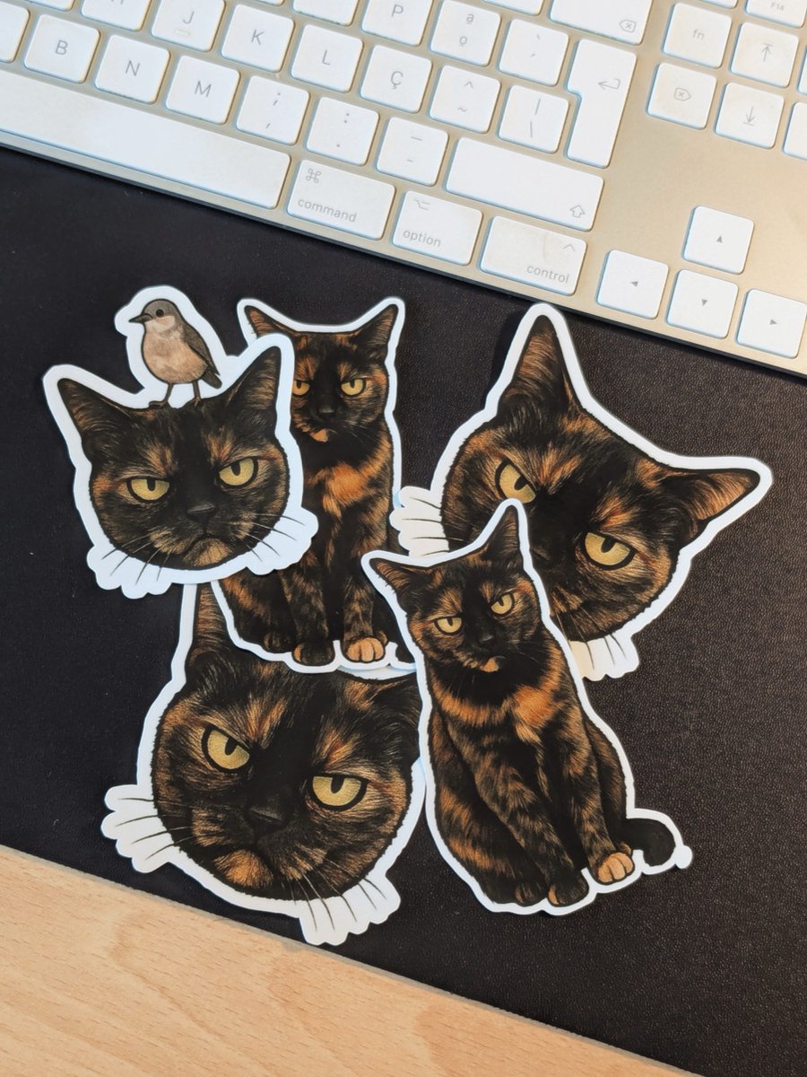 I'm sharing this fun project. I prompted AI to turn a picture of my parents' house cat into a sticker sheet, then ordered the actual stickers. The grumpy look was specifically requested in the prompt to match her personality. 😸