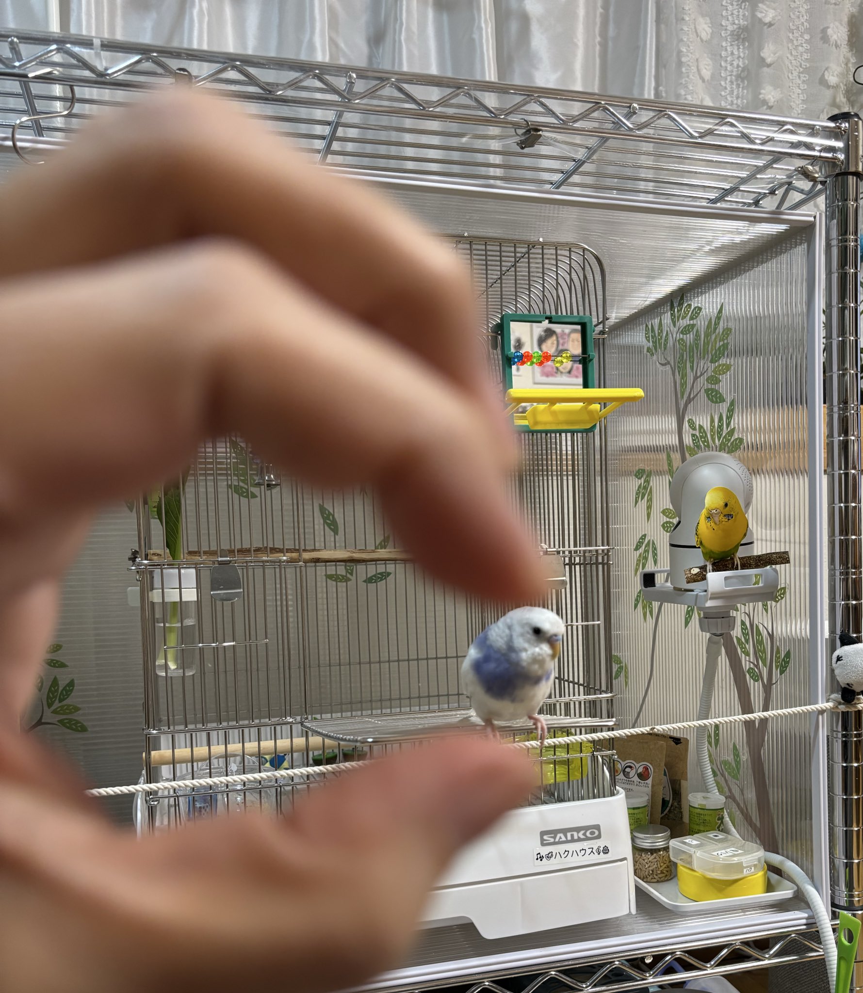 パグちゃん パグの日おめでとうございます🎉🎊㊗️ 世界中のパグちゃんが