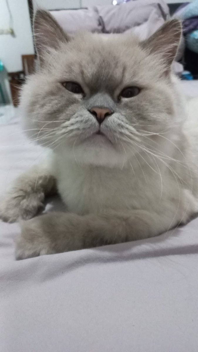 Nanti pada ke IIPE ga guys?