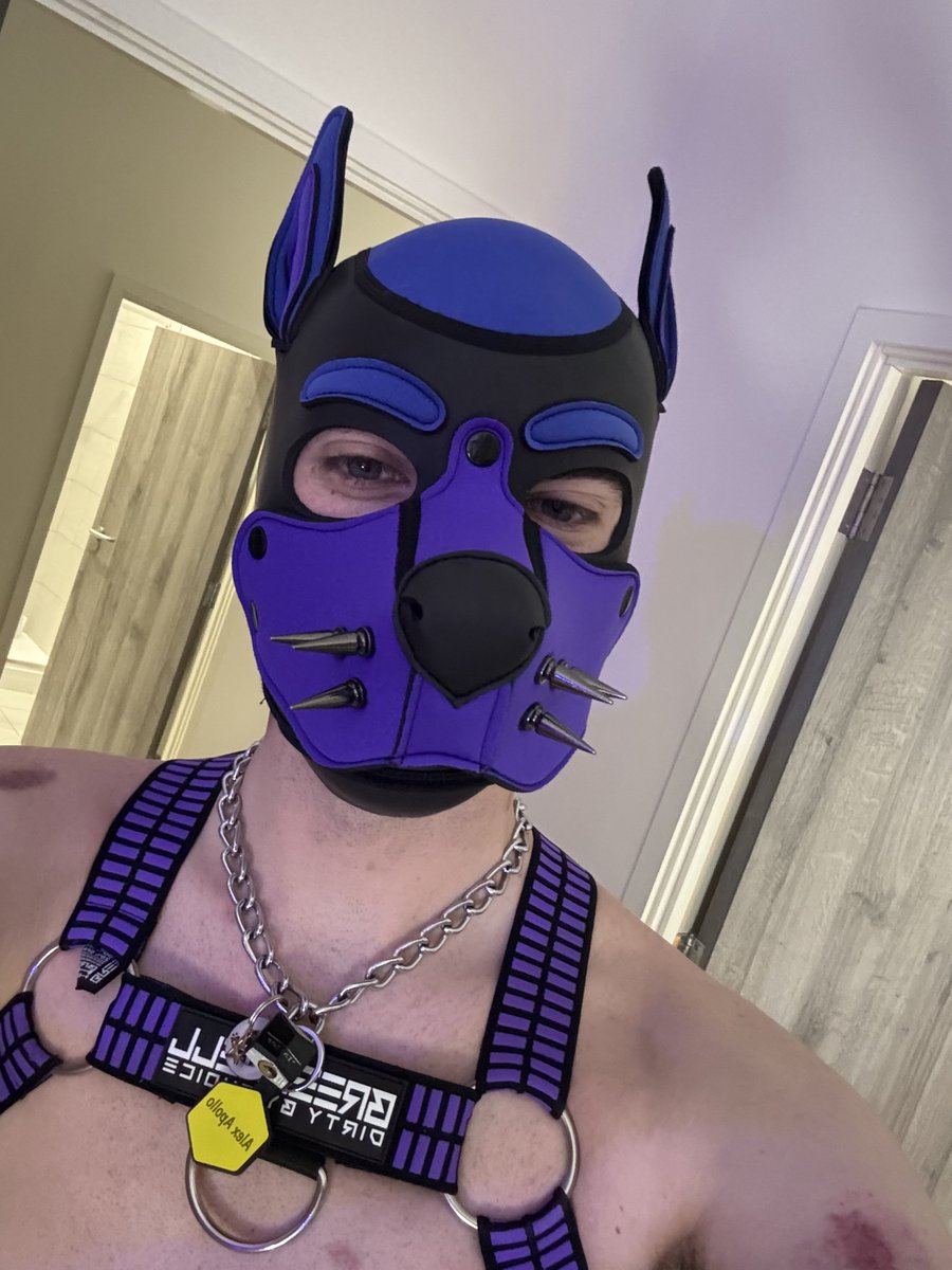 New muzzle for when I’m feeling more purple 🐶💜