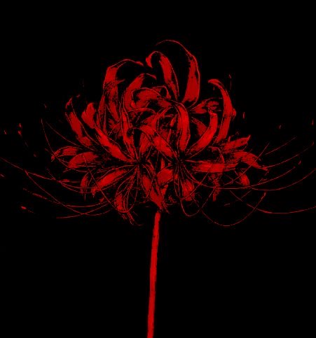 ⧼🗝️⧽﹒ yva ﹒⟢ (tomuras wife) tweet media