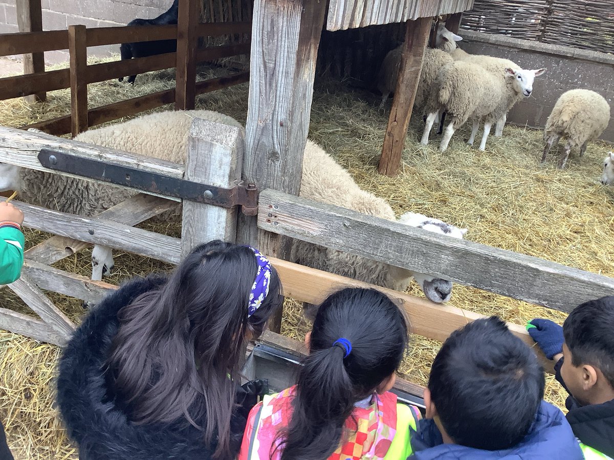 We have been looking at the farm animals this morning. We have seen pigs, cows, chickens and horses! <a href="/HazelSchool/">Hazel Community Primary School</a>