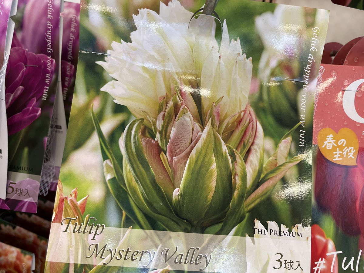 オザキフラワーパーク on X