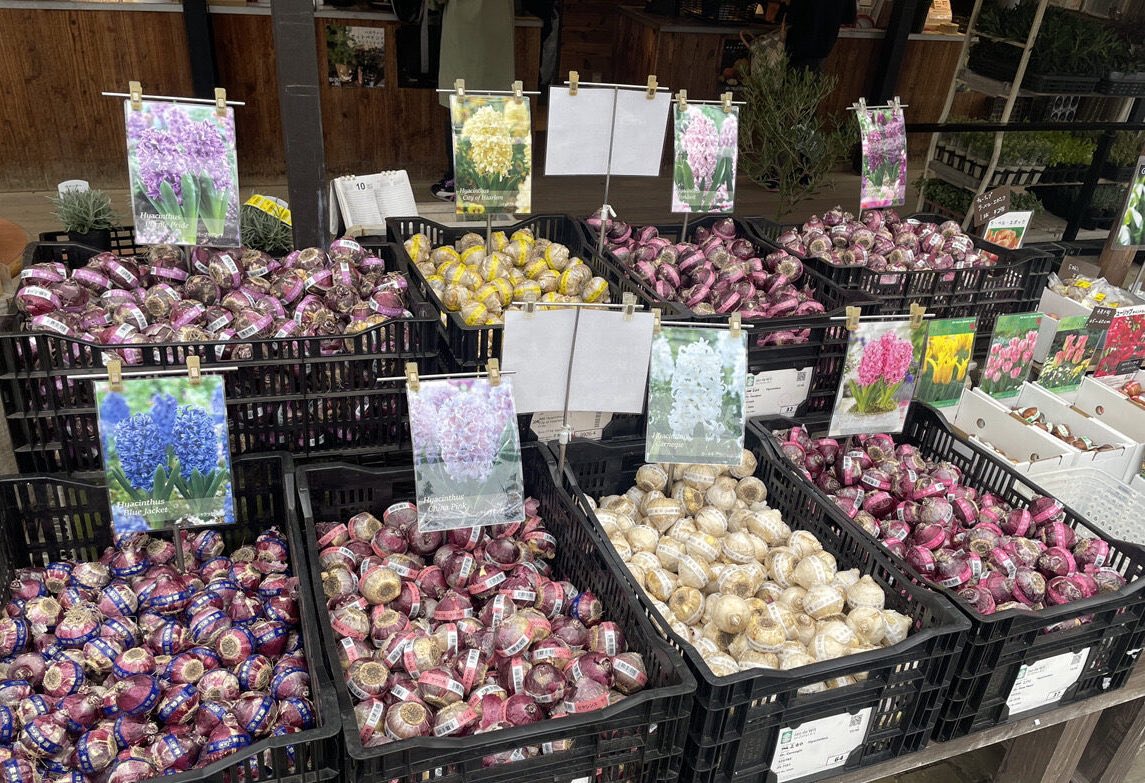 オザキフラワーパーク on X