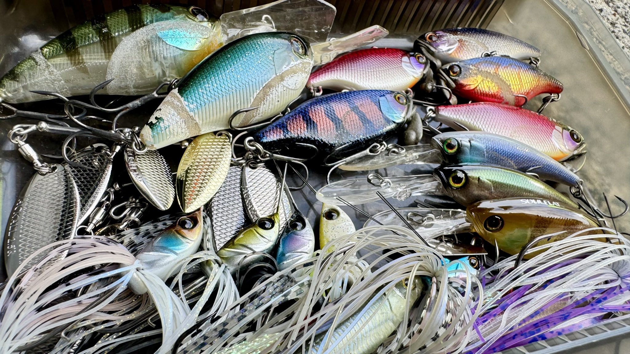 JACKALL ルアー４点セット JETTROW - SALT WATER 海釣り｜JACKALL｜ジャッカル｜ルアー