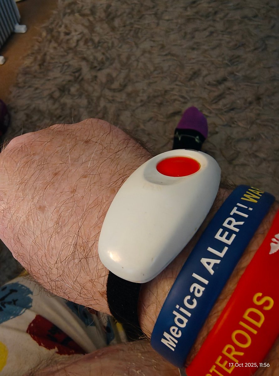 peter wilson tweet media