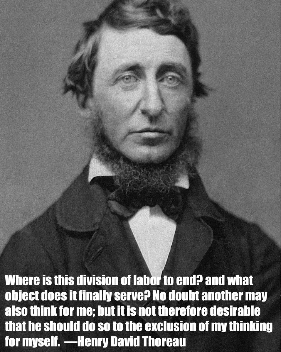 Ryan Hisner tweet media