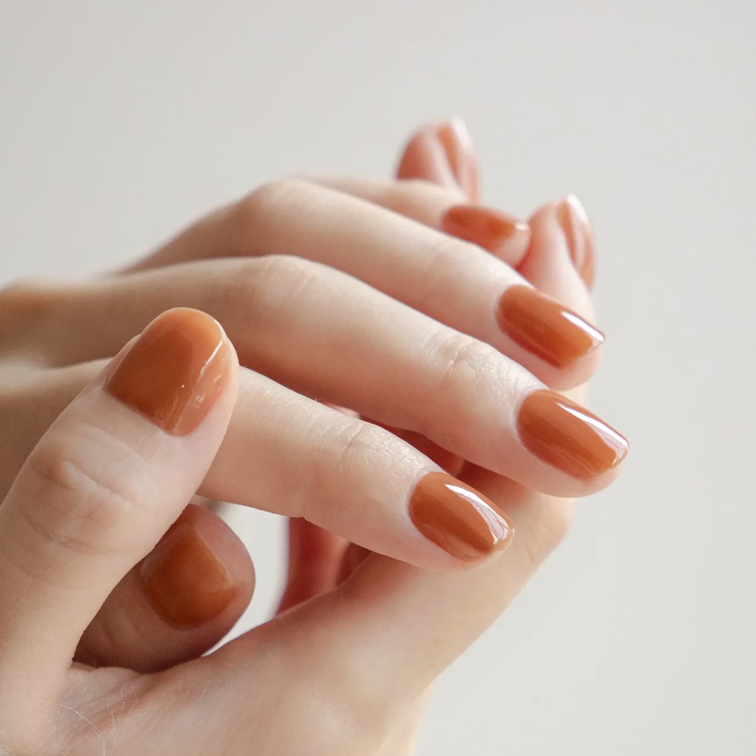 11/4(火)9:59まで 送料無料キャンペーン開催🌈 期間中、1点から何度