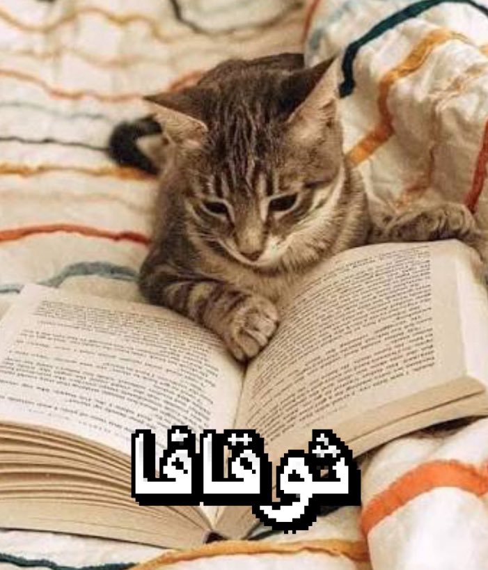 rurururu tweet media