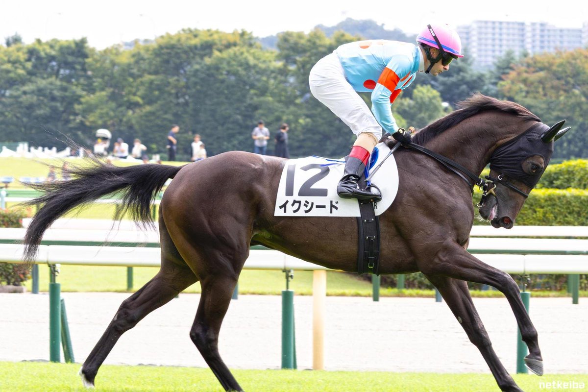 NakayamaFesuta1's tweet image. full sister to Equinox, Exceed
has been diagnosed with a fracture of the radial carpal bone, will take more than 6 months to recover.

The classic dream ends here...