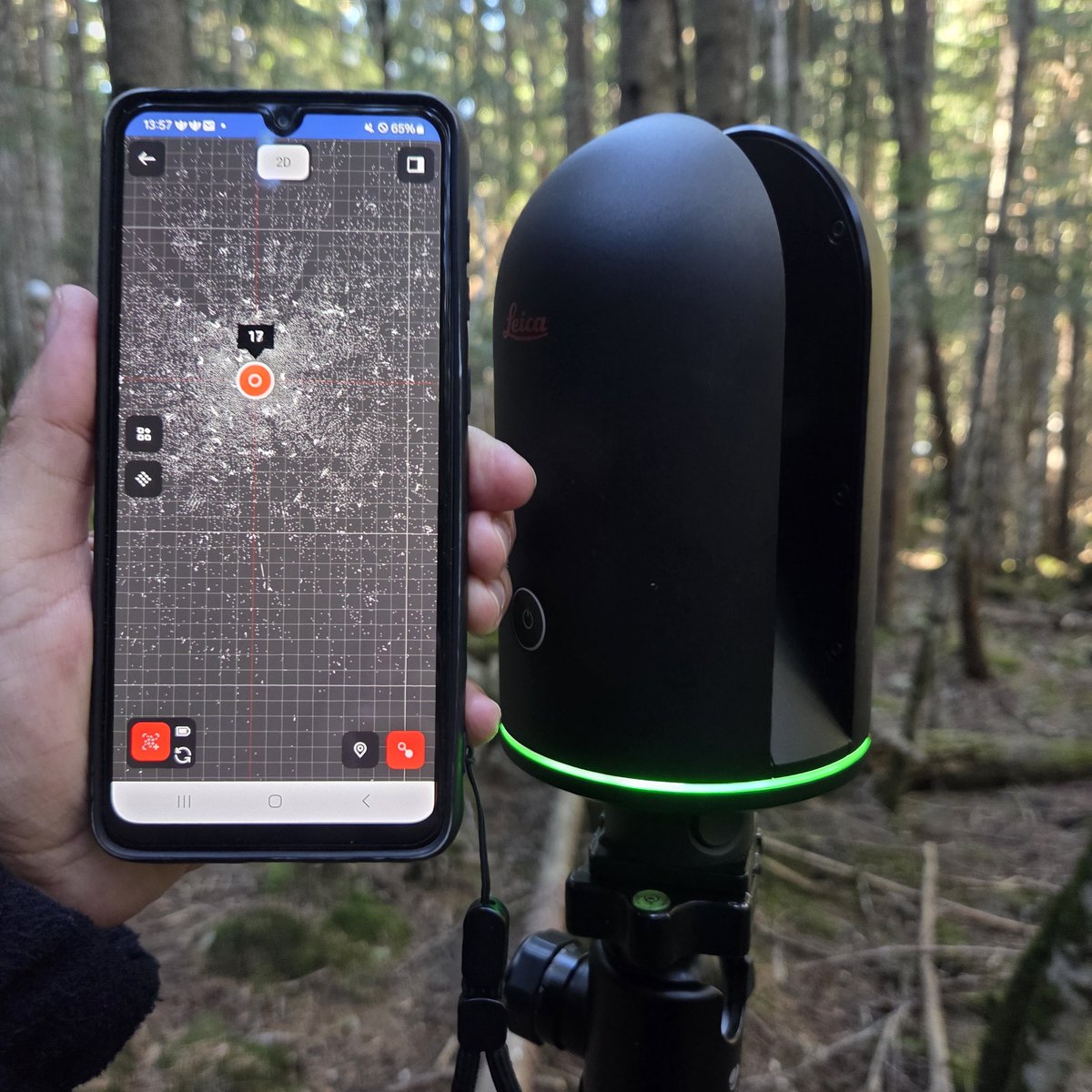 whatifbosques tweet media