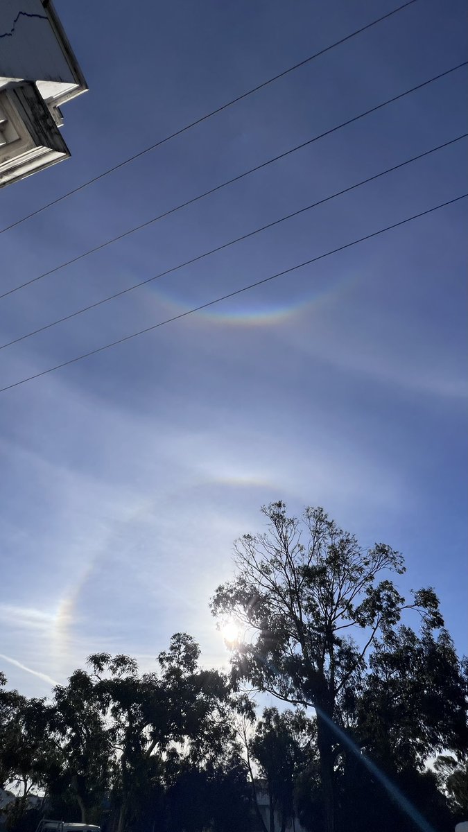 Dan Adams tweet media