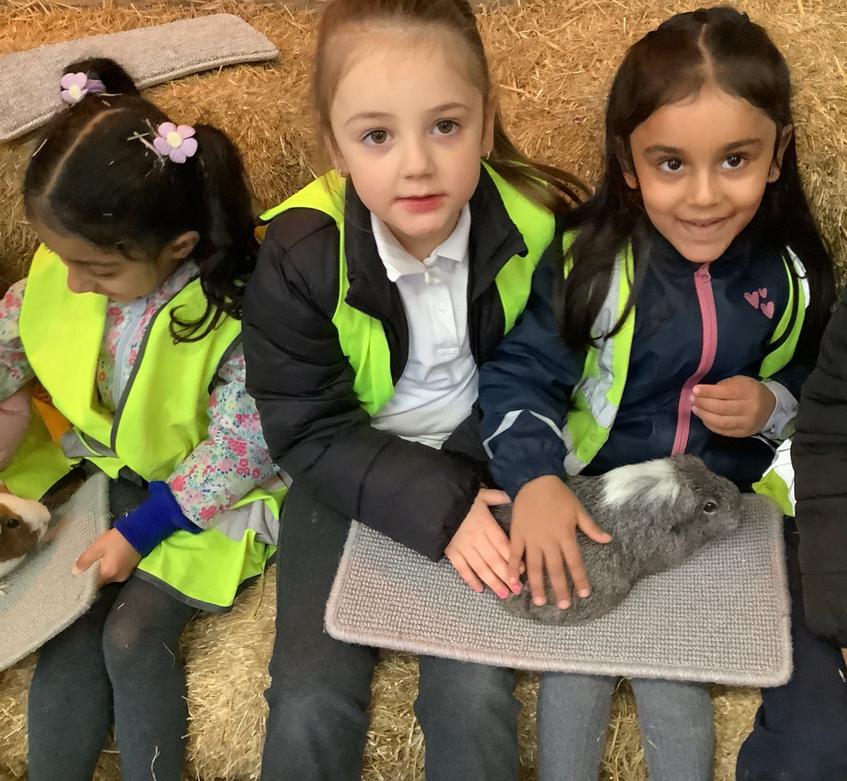 We loved petting the Guinea pigs! Some of us even fed them! <a href="/HazelSchool/">Hazel Community Primary School</a>