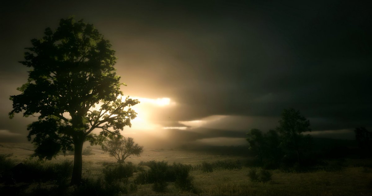 GoBlue92 tweet media