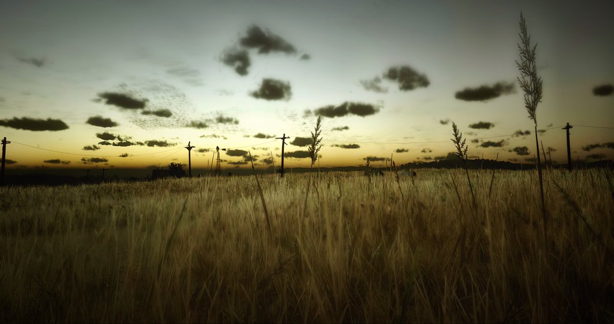 GoBlue92 tweet media