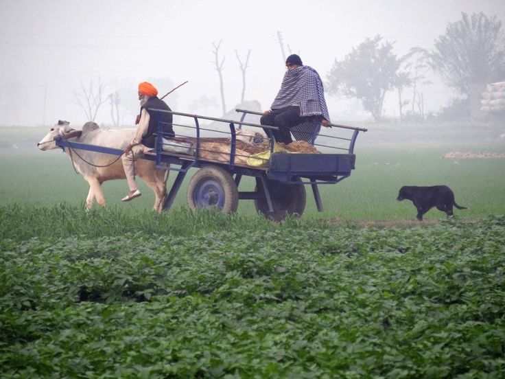 आजादी कैसे मिली थी ये पढ़ाने से
अच्छा है, हम ये पढ़े कि गुलाम कैसे हुए थे।