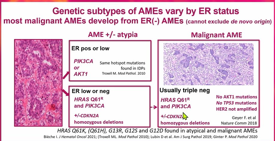 Janira Navarro tweet media