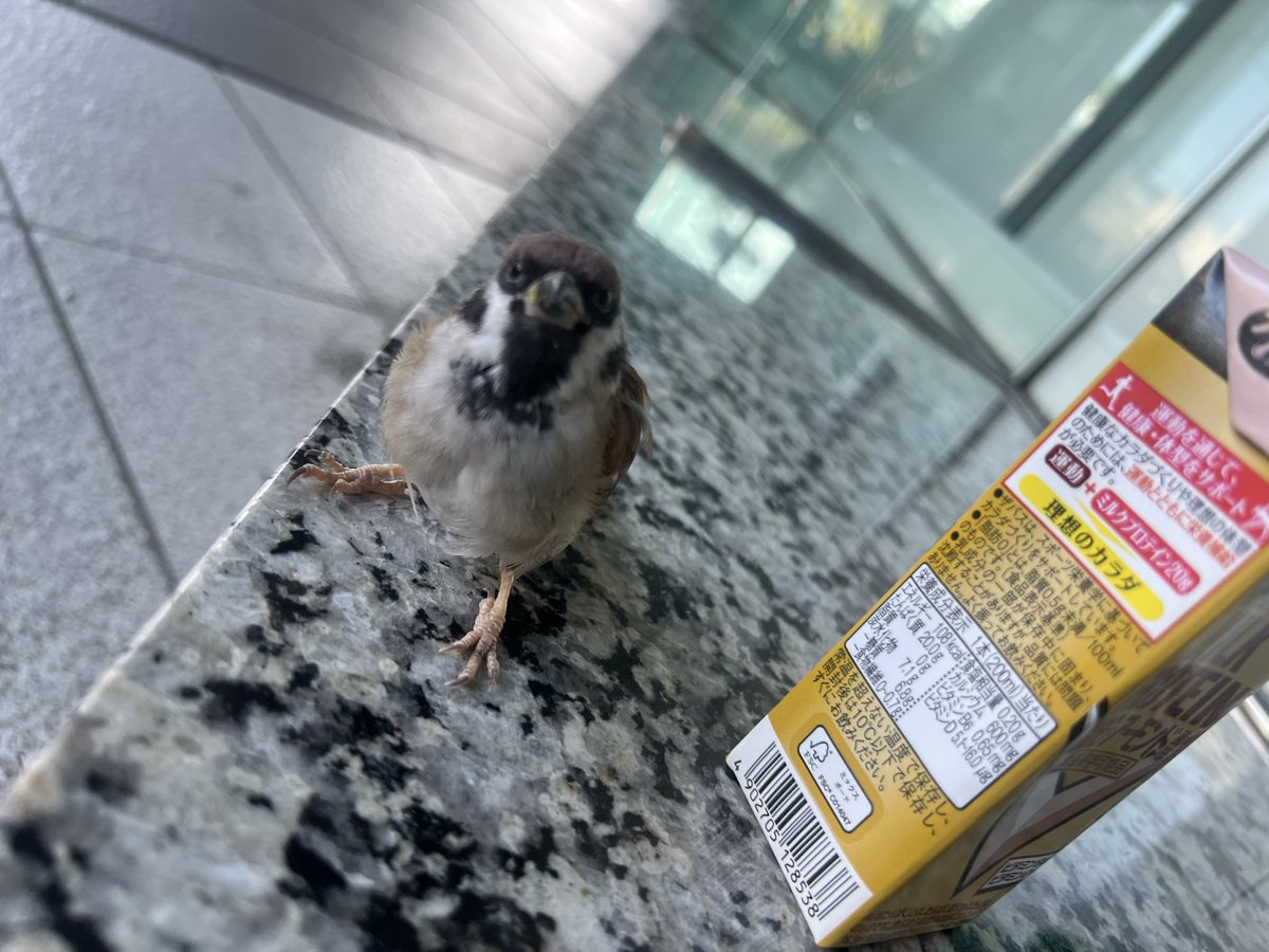 z_Z__z_Z__7's tweet photo. あの、、、こんなに近くに来る事ある？私前世我妻だったりする、、、？ https://t.co/KDEA7LHefT
