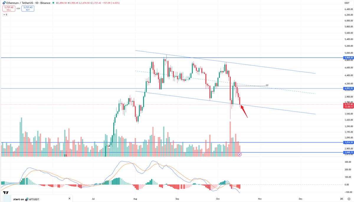 Trader Zach | 小扎 tweet media