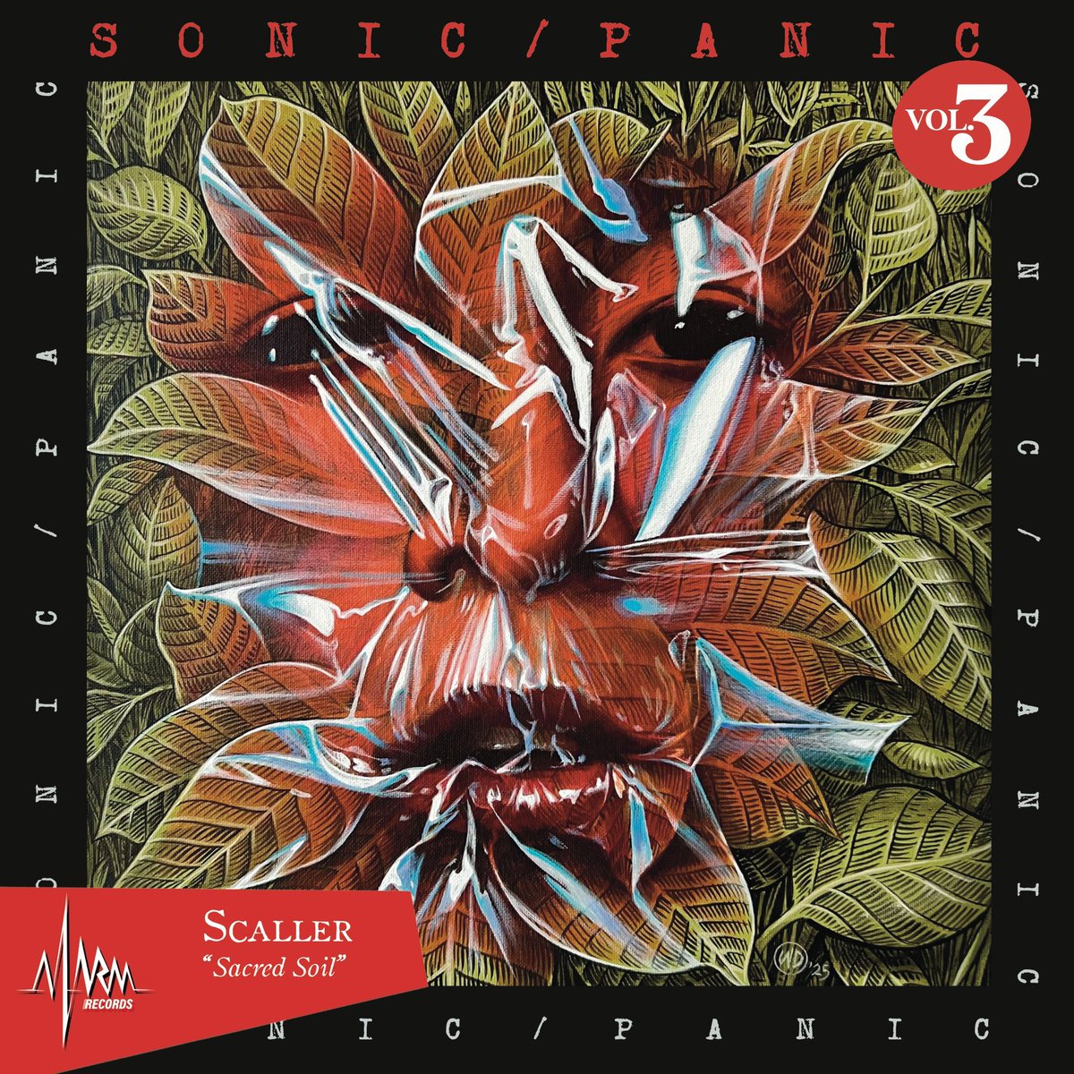 S C A L L E R tweet media