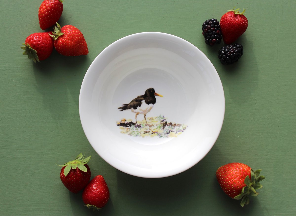 Ork_Storehouse's tweet photo. Brighten up breakfast time with our range of wildlife cereal bowls. Our six unique bird designs make an ideal gift for nature lovers 🦉😊 https://t.co/VfvjhzvCBH
#finebonechina #nature #orkney https://t.co/4vDXOlCJgK