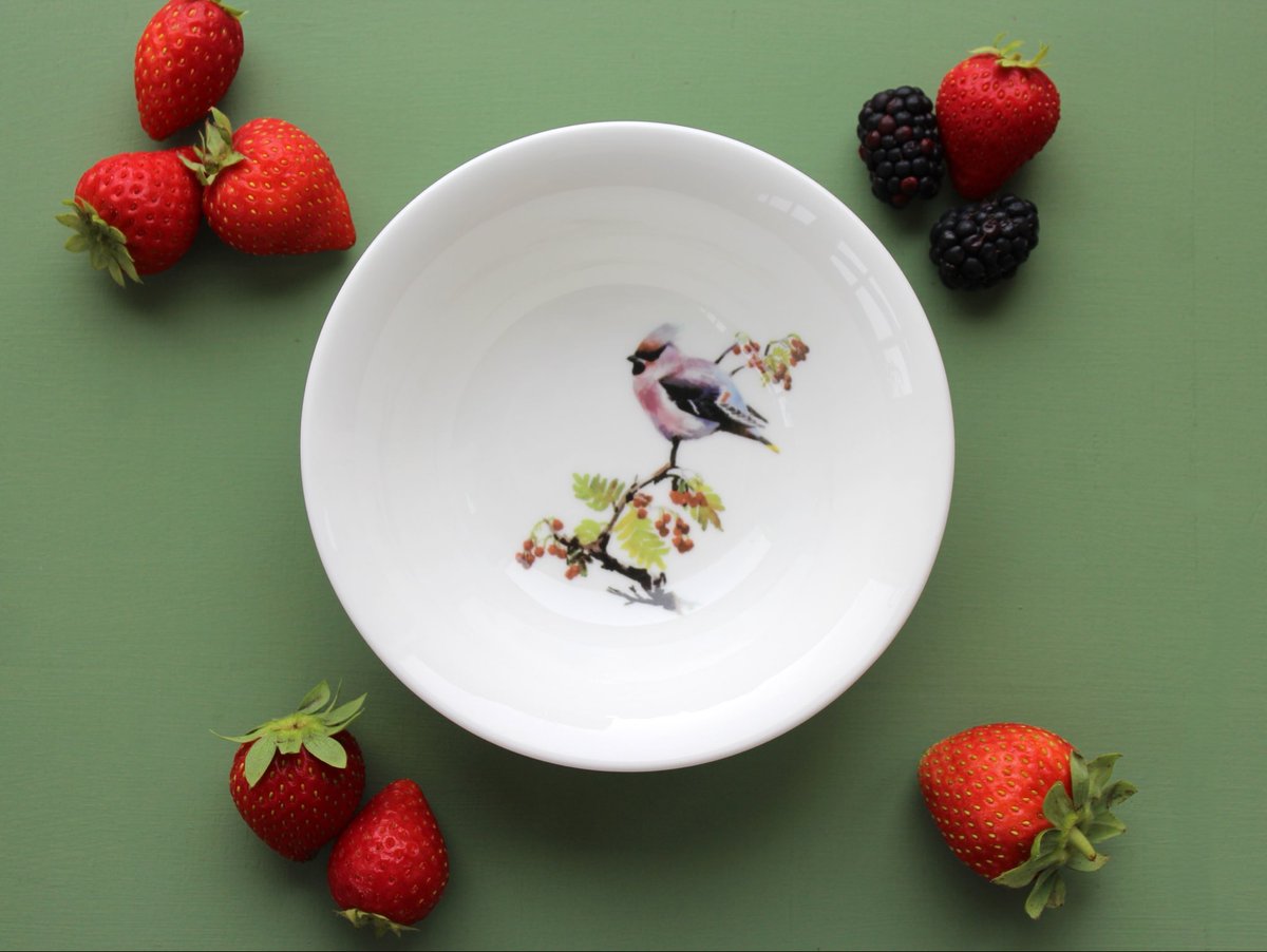 Ork_Storehouse's tweet photo. Brighten up breakfast time with our range of wildlife cereal bowls. Our six unique bird designs make an ideal gift for nature lovers 🦉😊 https://t.co/VfvjhzvCBH
#finebonechina #nature #orkney https://t.co/4vDXOlCJgK