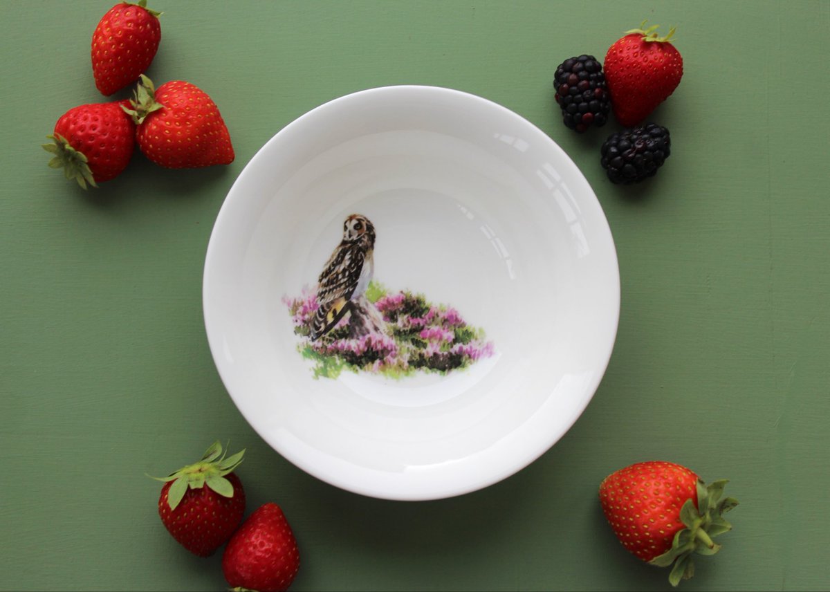 Ork_Storehouse's tweet photo. Brighten up breakfast time with our range of wildlife cereal bowls. Our six unique bird designs make an ideal gift for nature lovers 🦉😊 https://t.co/VfvjhzvCBH
#finebonechina #nature #orkney https://t.co/4vDXOlCJgK