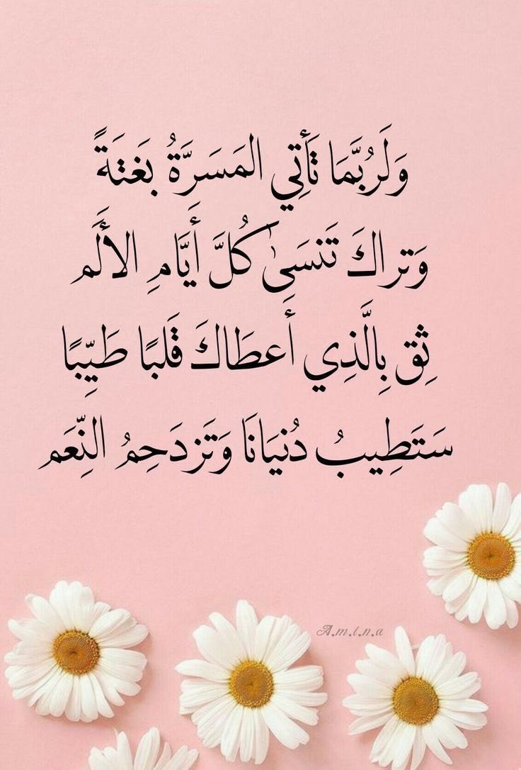 سلسبيل🇸🇦 tweet media