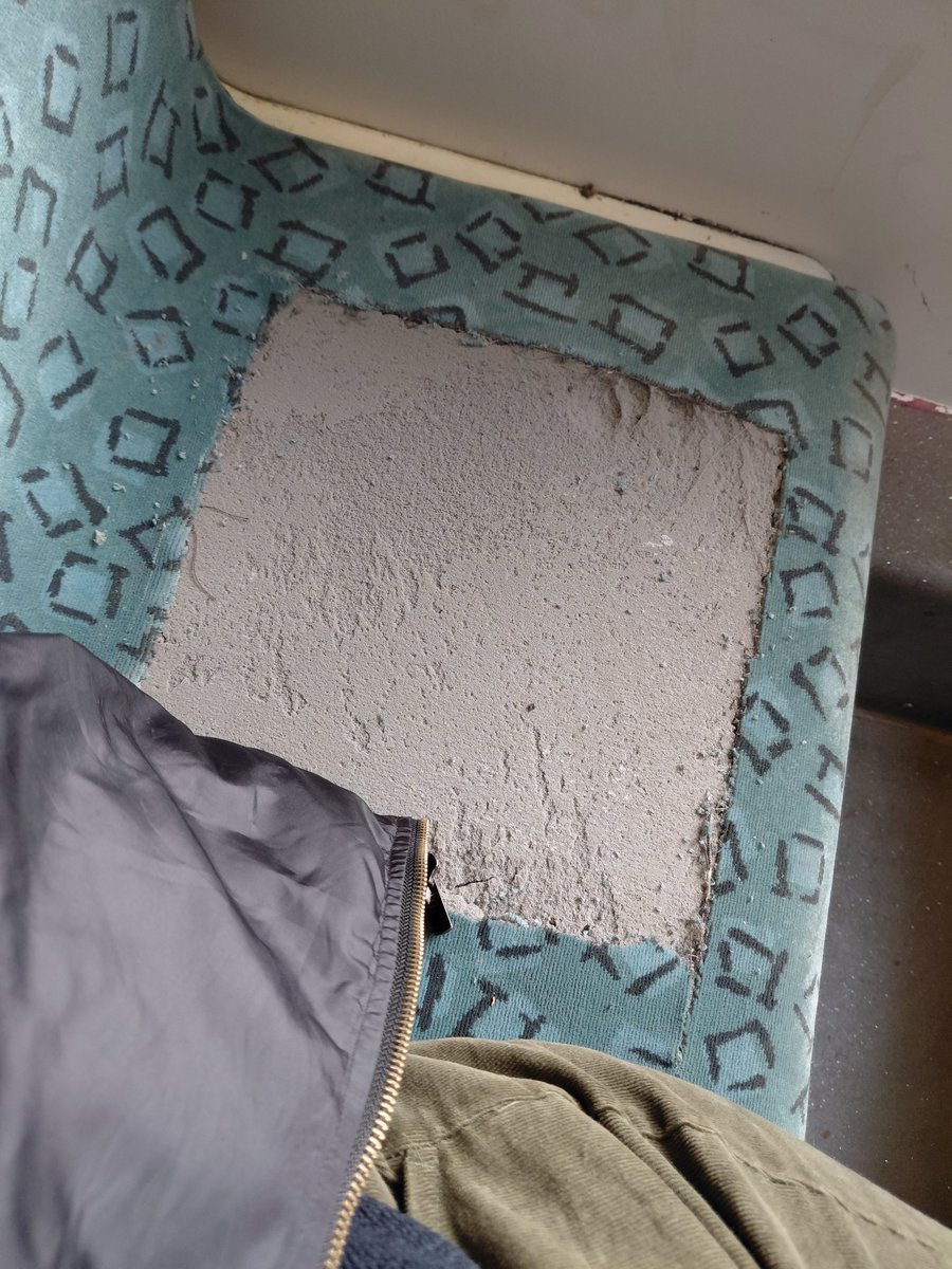 schellenmira tweet media