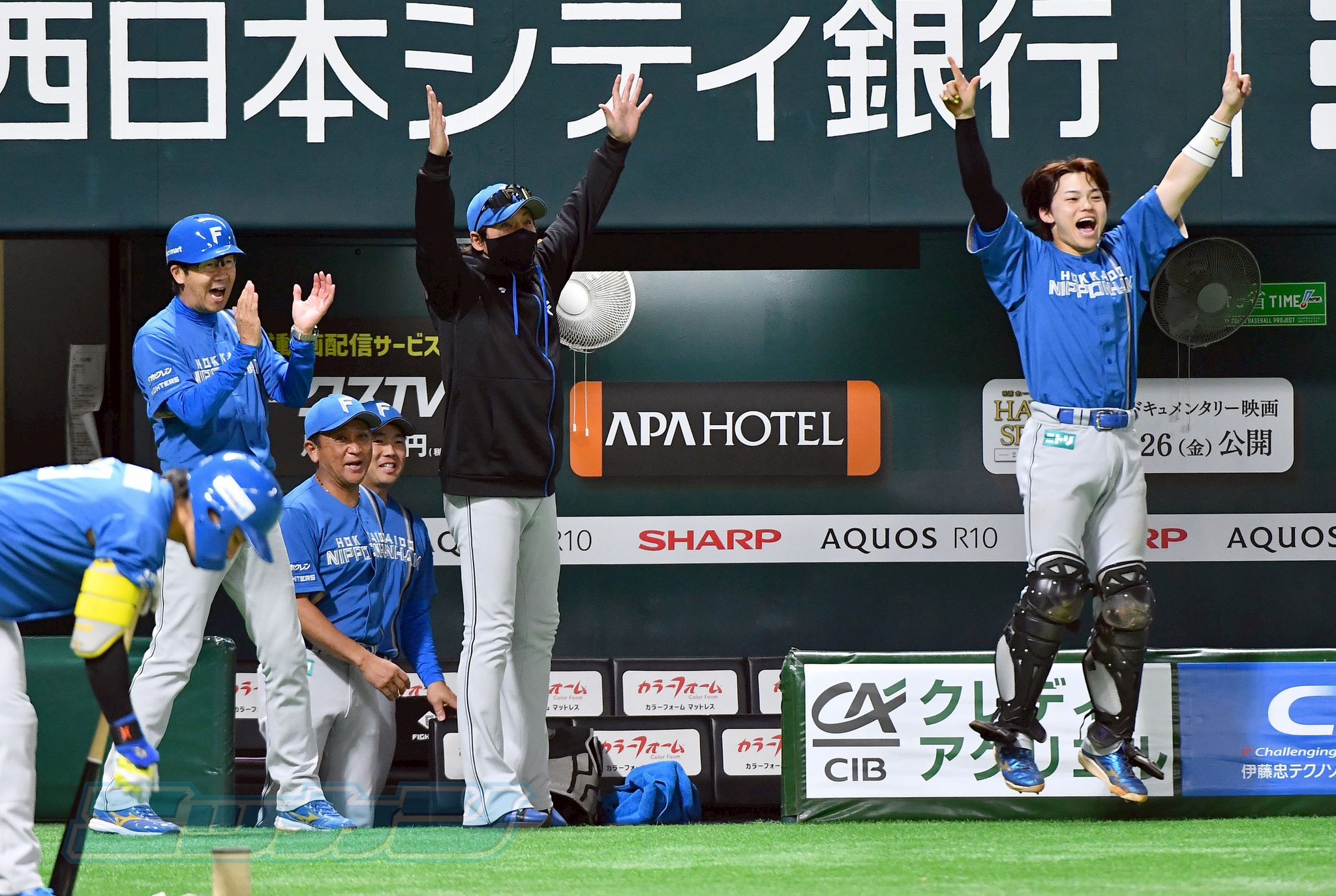 日刊スポーツ (@nikkansports) / X