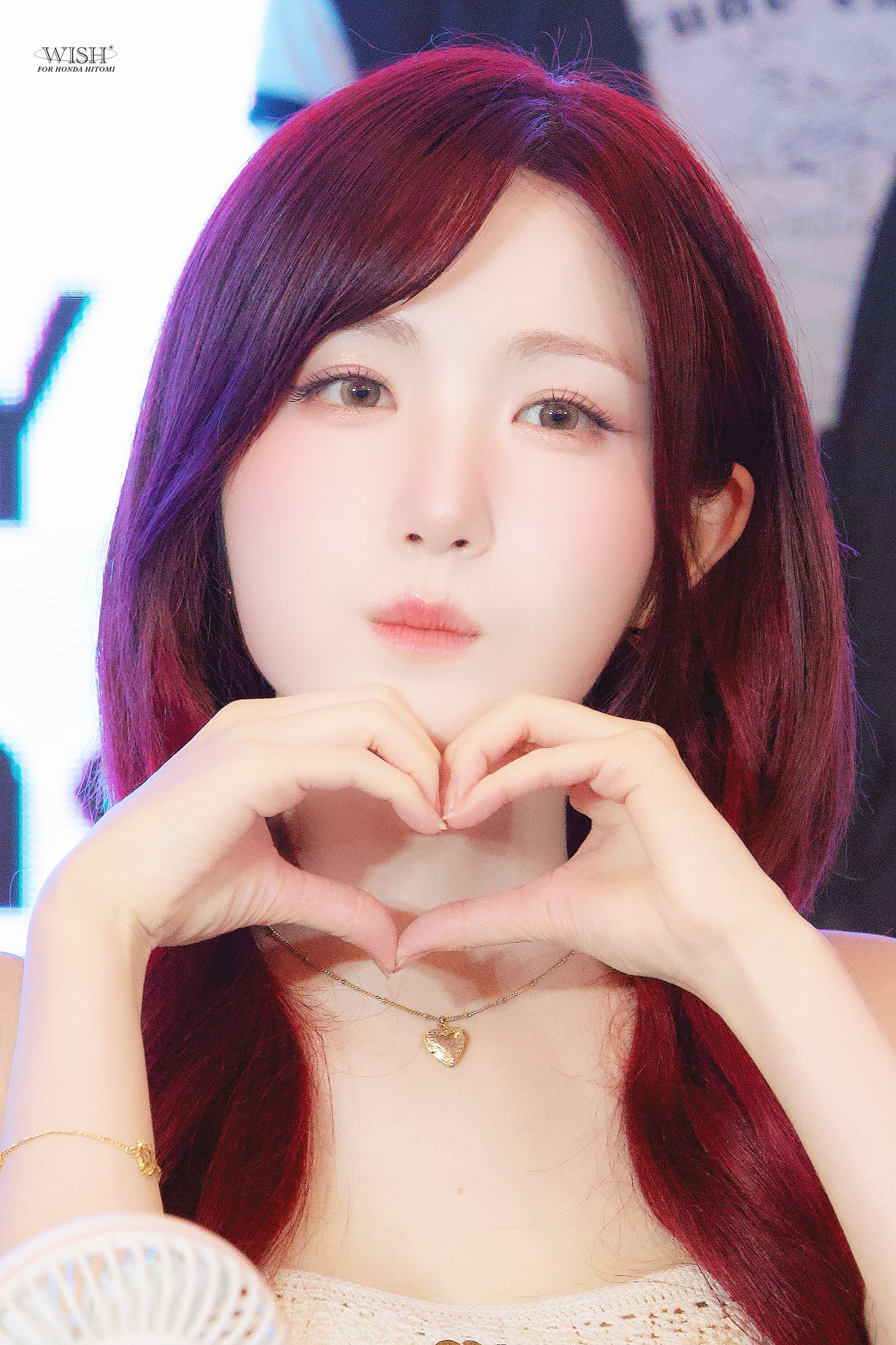 𝐖𝐈𝐒𝐇* on X: 