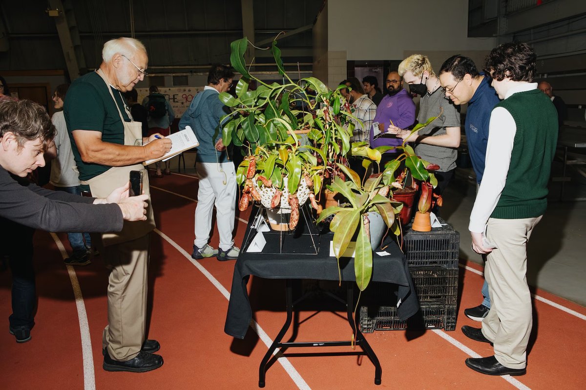 Washington Post Photo tweet media