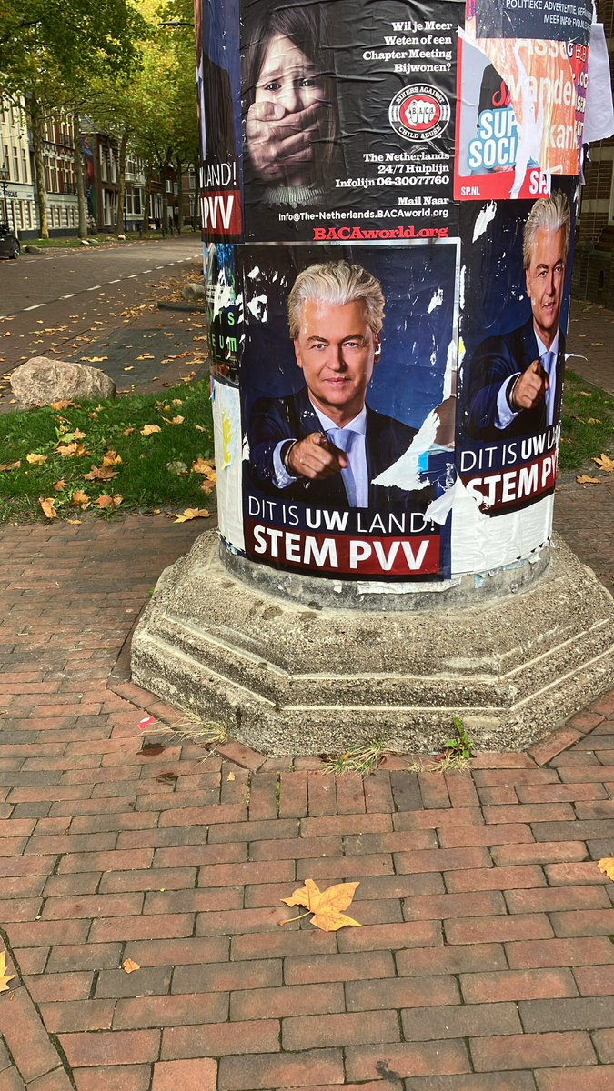 arianvandermark tweet media