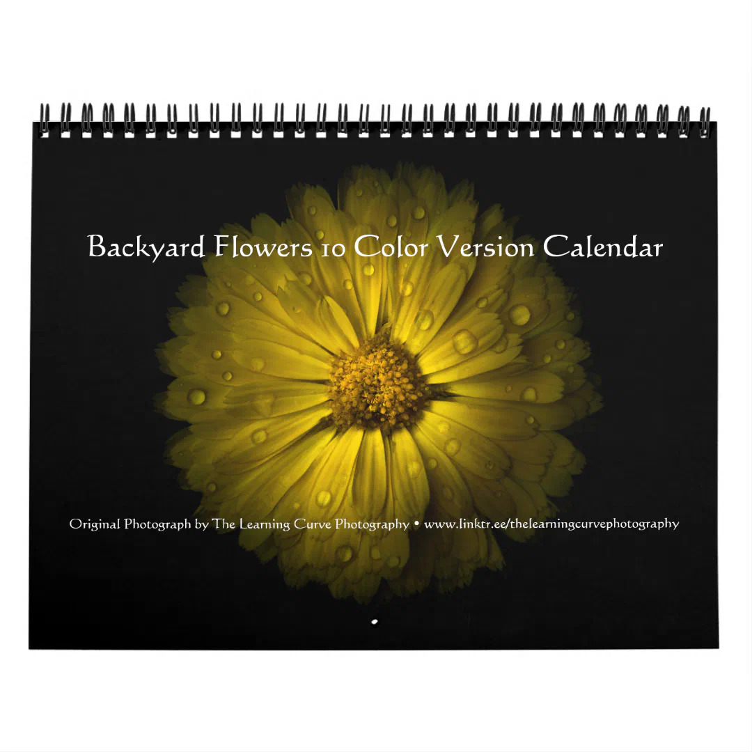 learningcurveca's tweet image. Backyard Flowers 10 Color Version 2026 Calendars by The Learning Curve Photography on @zazzle

#calendars #zazzle #zazzlemade #2026 #flowers #originalphotography #photography