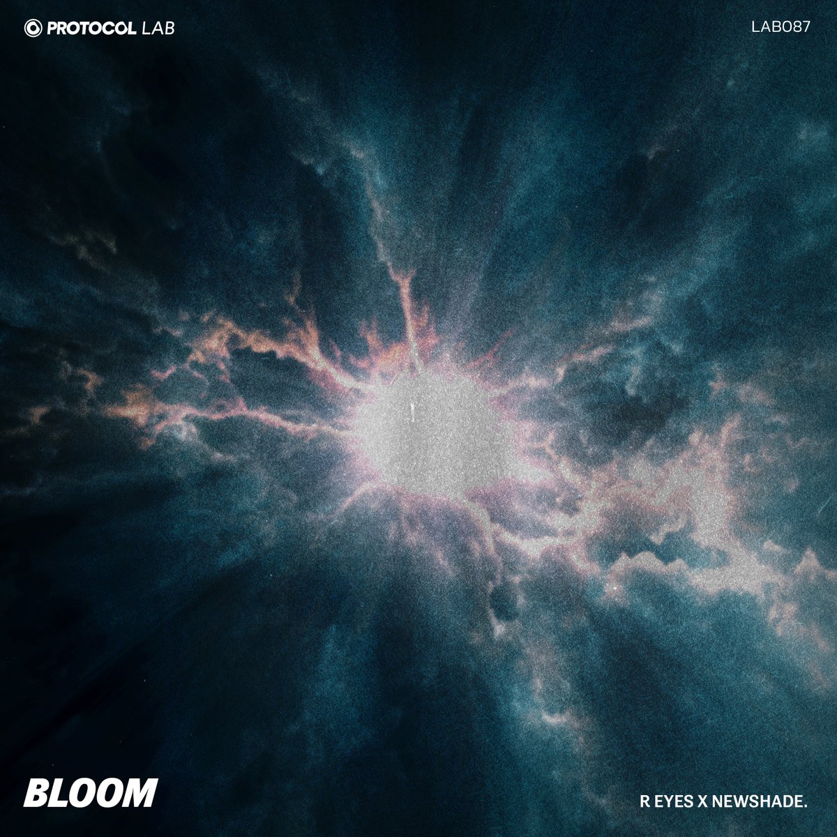 ProtocolRec's tweet image. UK artist R eyes teams up with newshade. for Protocol Lab debut single “Bloom”. 🕺
Listen ➜ prot.cl/lab_bloomIS
Watch ➜ youtu.be/ZJMmNl1VufE