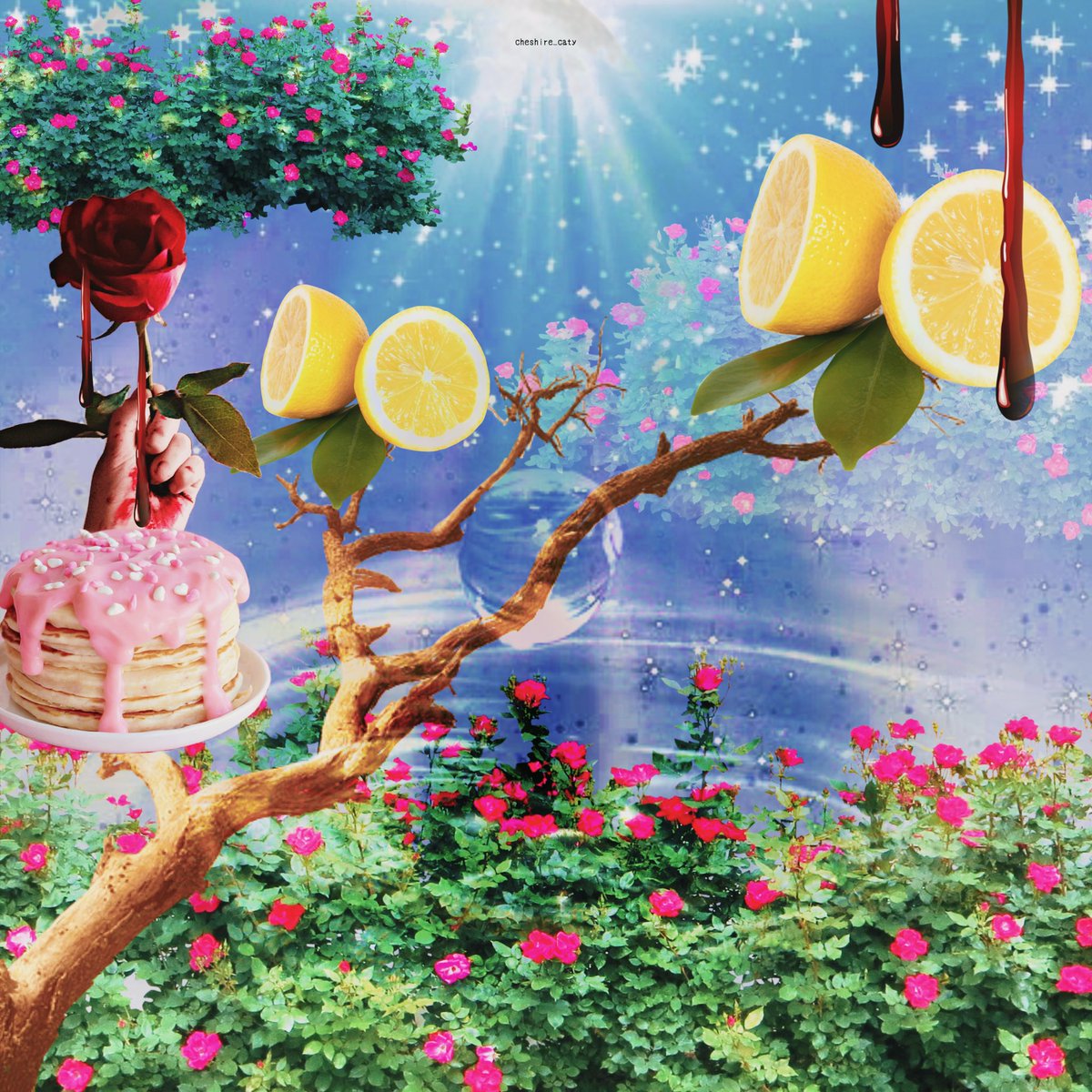 cheshire_caty_'s tweet image. . #デザイン #コラージュ #コラージュアート #デジタルコラージュ #デジタルアート #作品 #加工 #画像編集 #ステッカー #design #collage #picsart