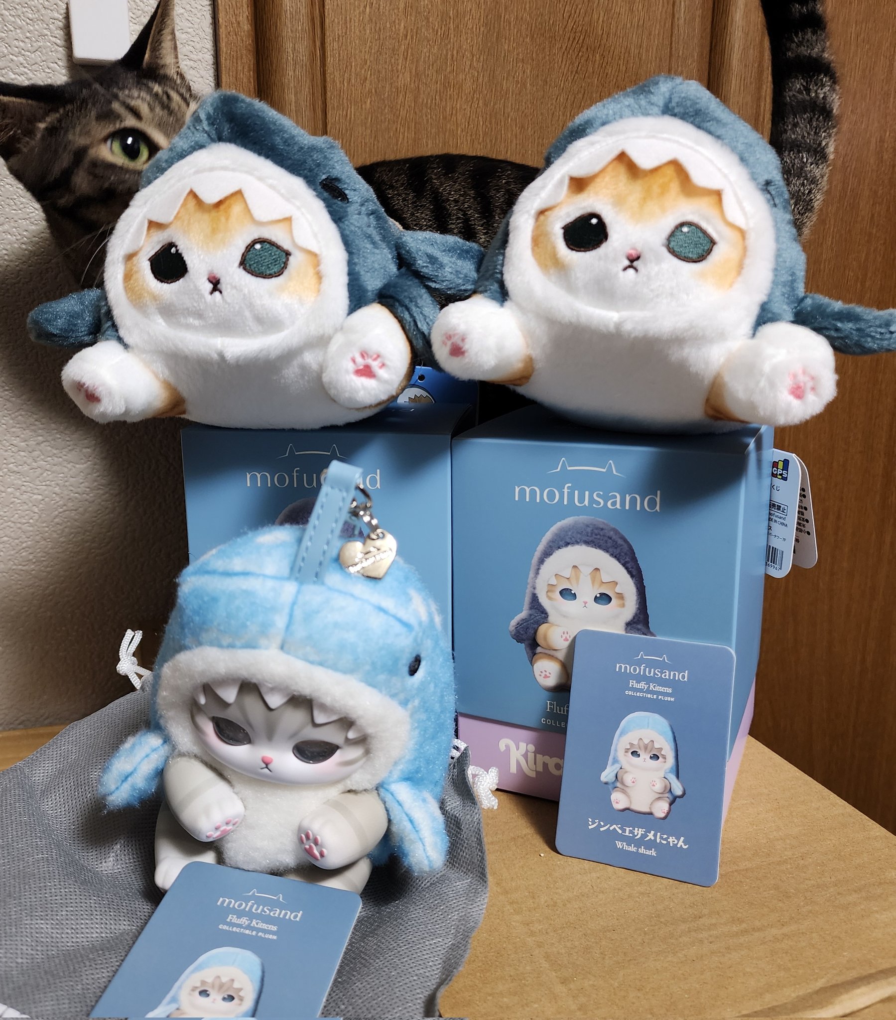モフサンドKiramekko Fluffy Kittens ジンベエザメにゃん - メルカリ