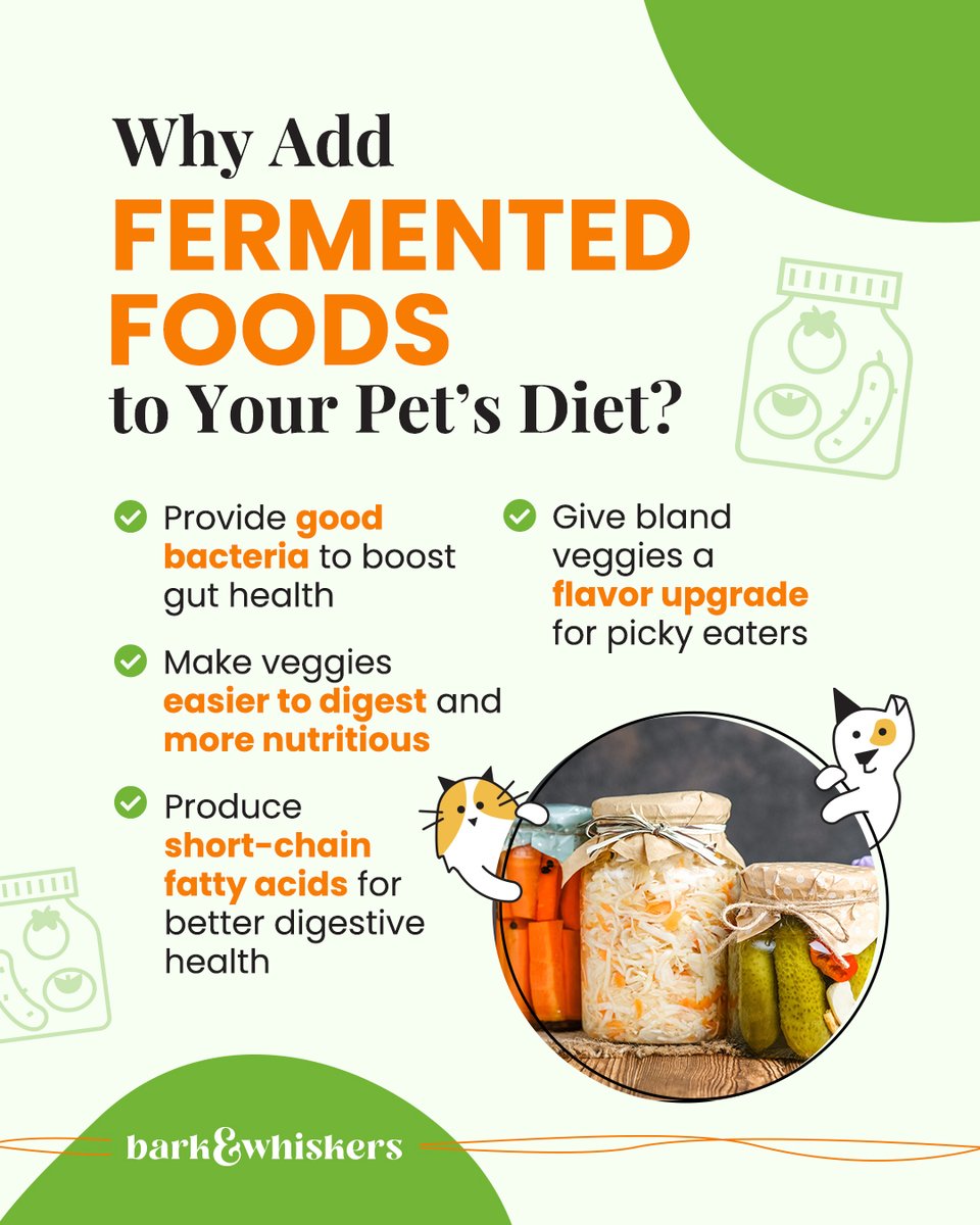 bark_whiskers's tweet image. This is one of the most gut-healing foods you can offer your pet! 🌟 #Dog #DogHealth #DogTips #Dog #Pets bit.ly/4o1ObZ8