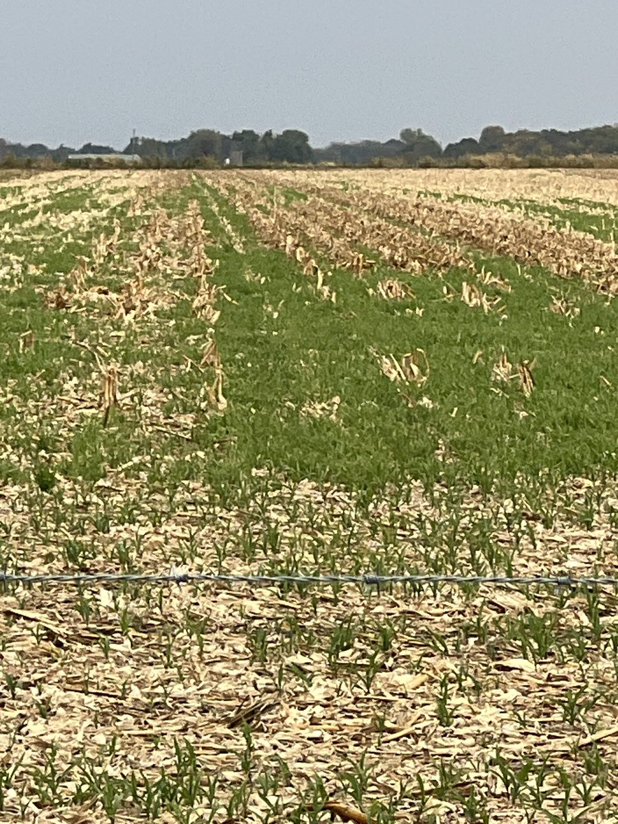 Allen Parrish tweet media