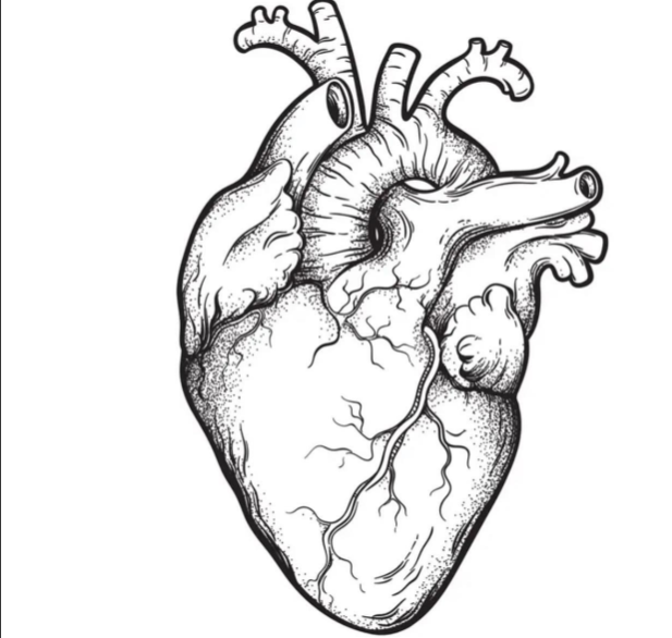 Kjære #FHI – undersøk alt dere vil, men denne undersøkelsen gir ikke ett eneste intelligent svar. #Norge topper verden i #hjertekar og #demens. Hvis #folkehelse og #forskning bygges på slike spørsmål, er vi ille ute. fhi.no/hs/nhus/den-na… #helse #ernæring #vitenskap #kosthold