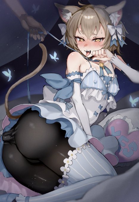 フェリスくん🩵ᩚ 