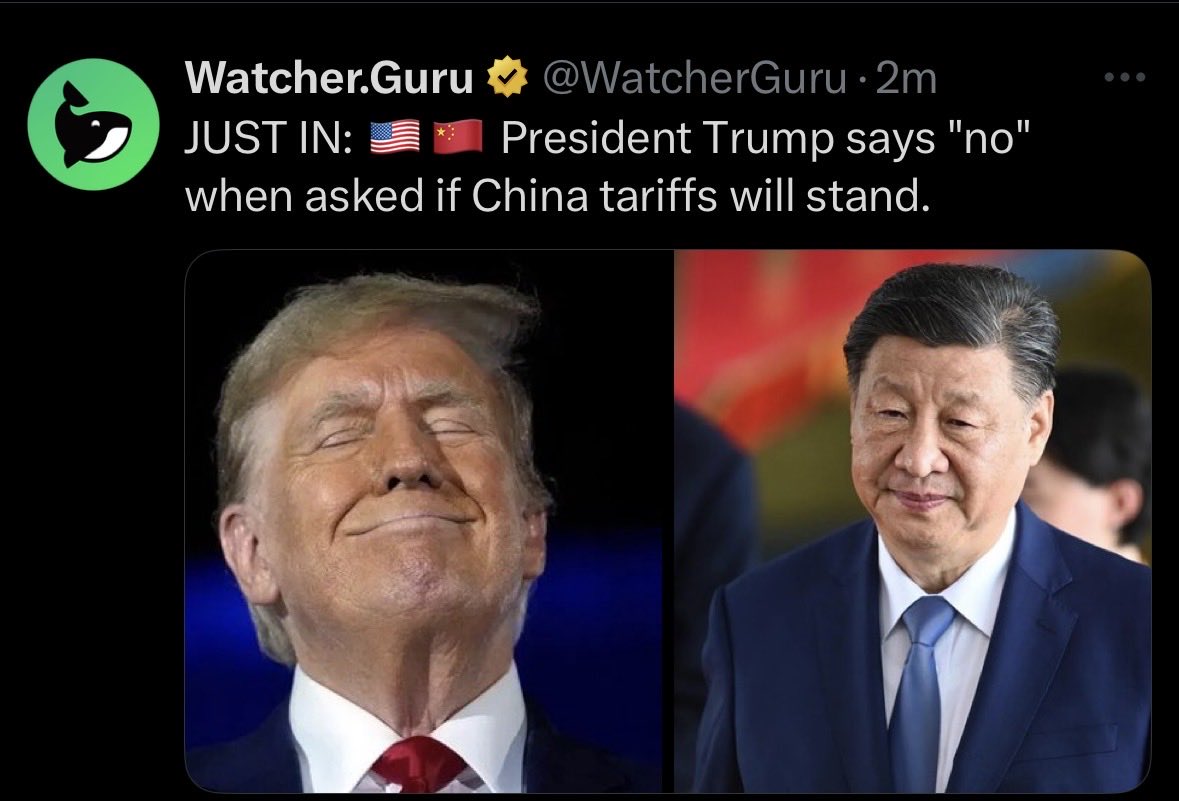 Xenia Melissa tweet media