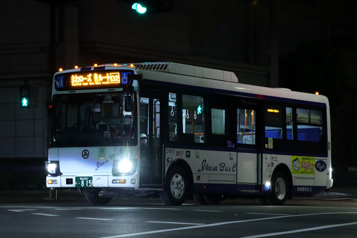 平岡 ExLights ソーラーアップライト FLAG /A: ライト