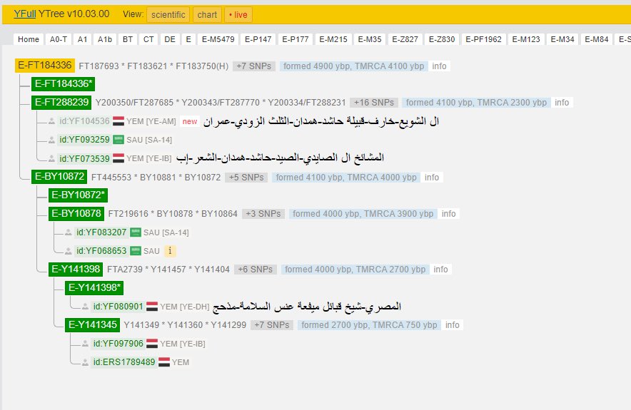 Samigenatic's tweet photo. @Genebygenedna أختلف معك أنا أرى همدان على التحور #Em84

 بنو زريع أصرح همدان ومن اقدم بطونها حضورا وشهرة وكانت لها الزعامة واقامت المملكة الزريعية في اليمن منذ عام ٤٧٦ هجري نتائجها #Em84 https://t.co/CaZckyMj6C