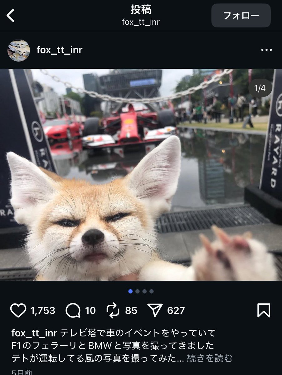 動物保護 tweet media