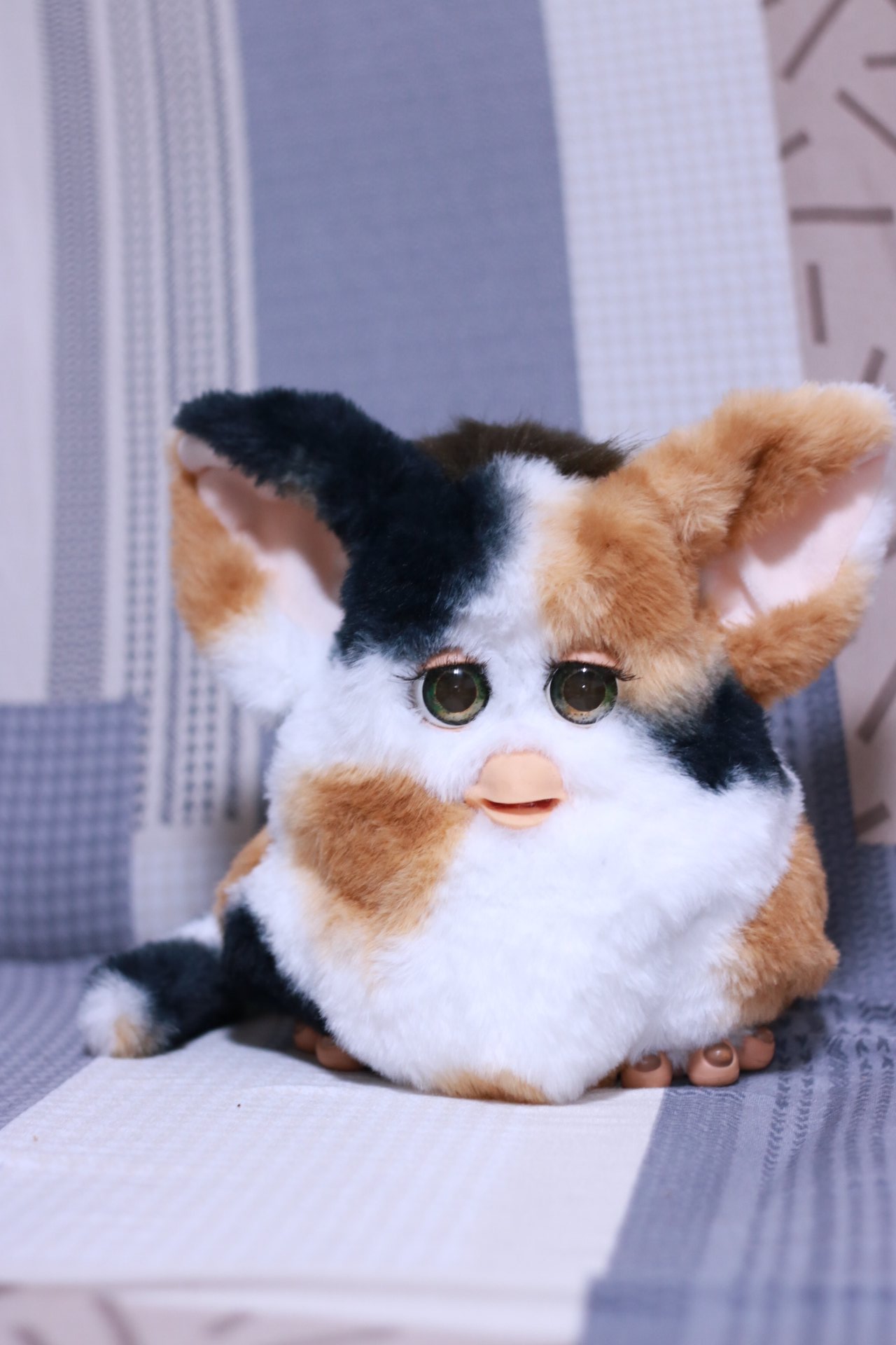 ファービー - Search / X