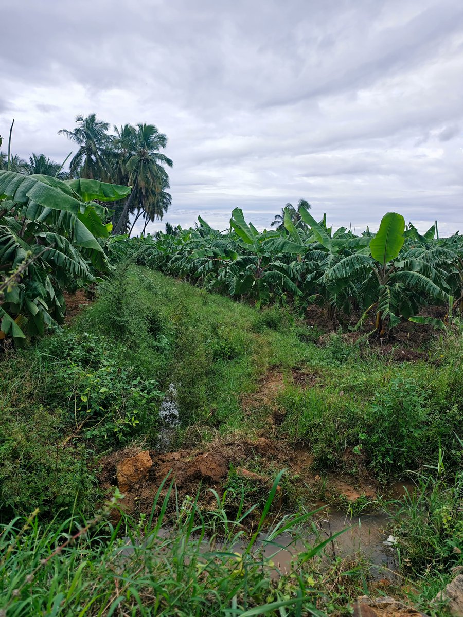 DefiMaran⚡ tweet media