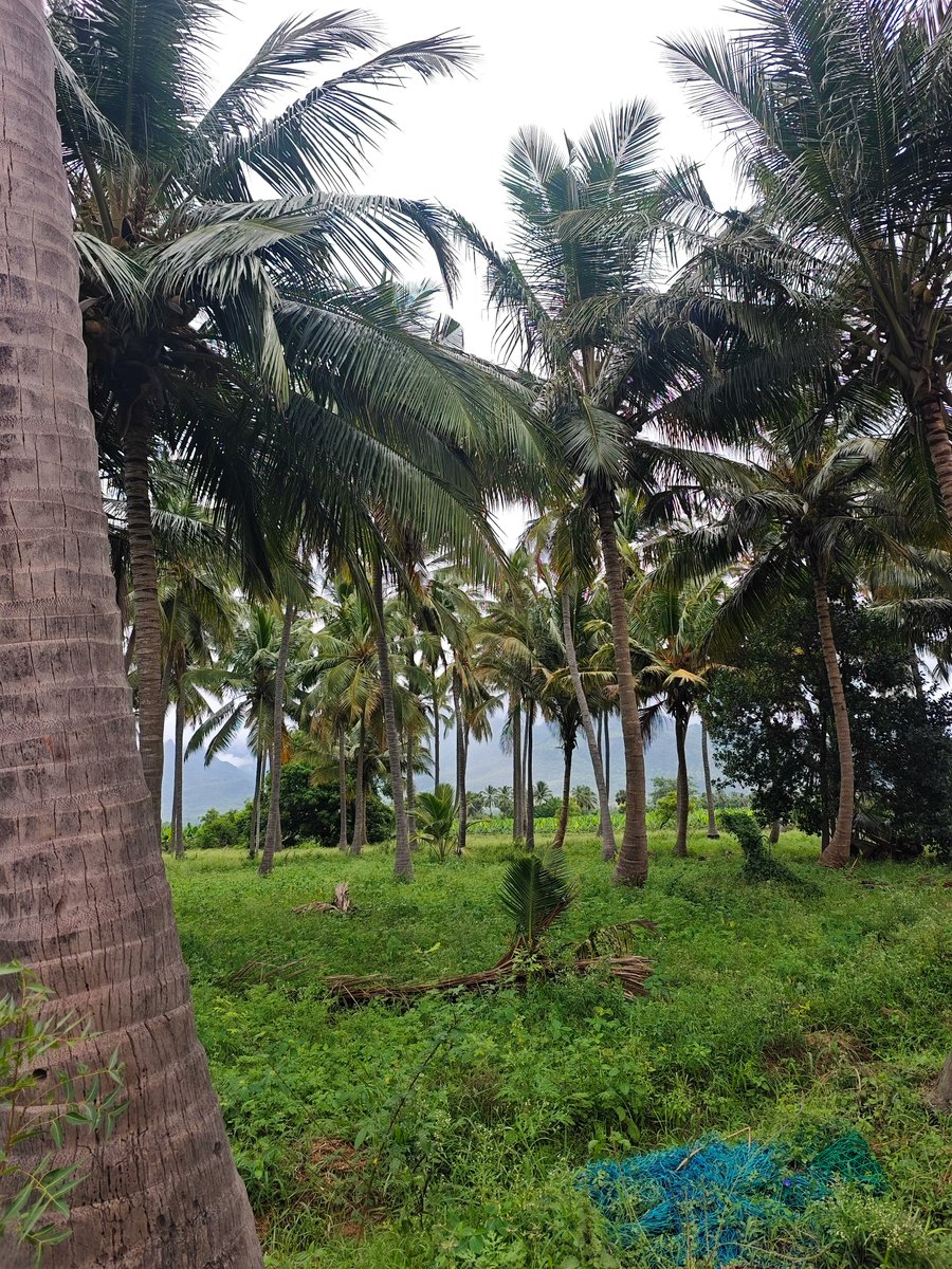 DefiMaran⚡ tweet media