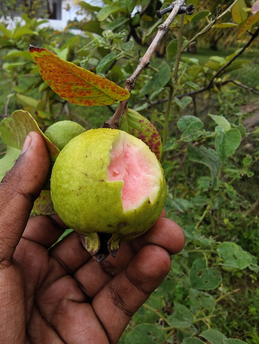 DefiMaran⚡ tweet media