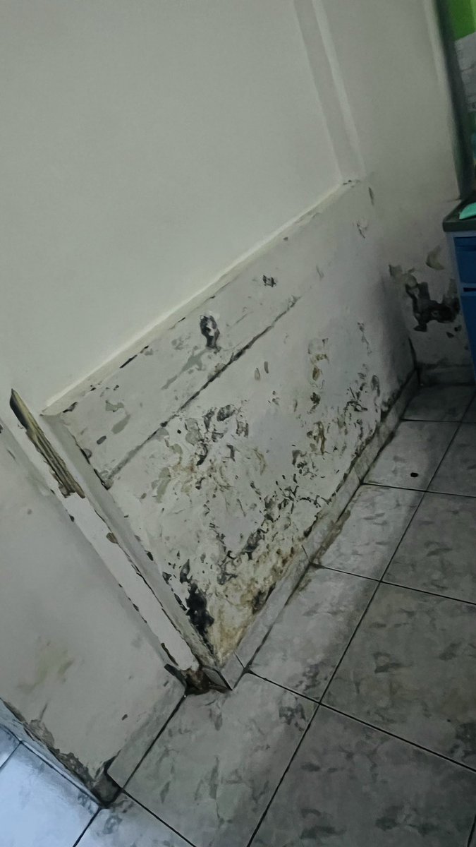 MabelGonzalezR's tweet photo. @IESSec @CJudicaturaEc Cómo puede ser posible que este tipo de infraestructura se merezca el afiliado, mantenimientos fantasmas, en fin solo se llevan el dinero y no realizan ninguna mejora en las instalaciones del Hospital Teodoro Maldonado Carbo. @HtmcIess https://t.co/E5GbECffAM